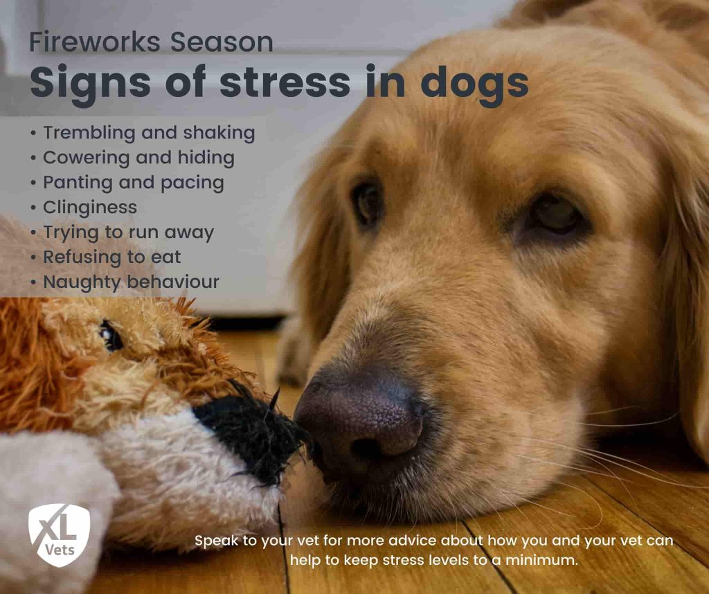 signs of stress in dogs