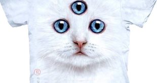 three eyed cat