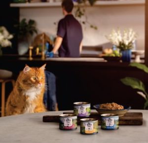 What to Watch: Feline Food and Treats